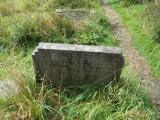 image of grave number 355355